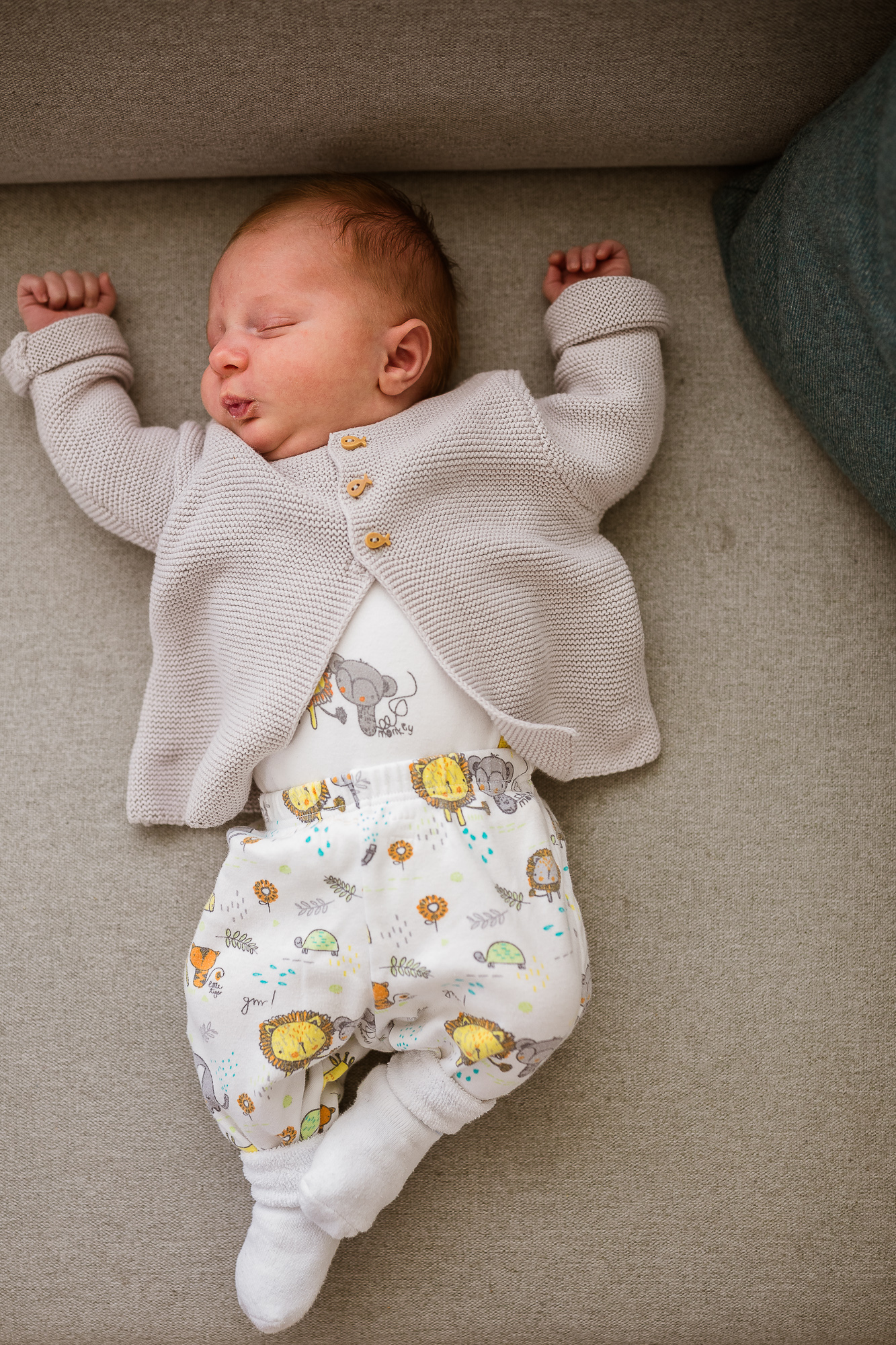 Export x3 5D4 6797 Familienfotoshooting 2019 Hefti